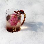 Provate la disintossicazione naturale con le tisane!
