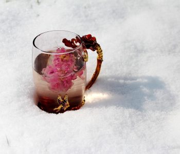 Provate la disintossicazione naturale con le tisane!